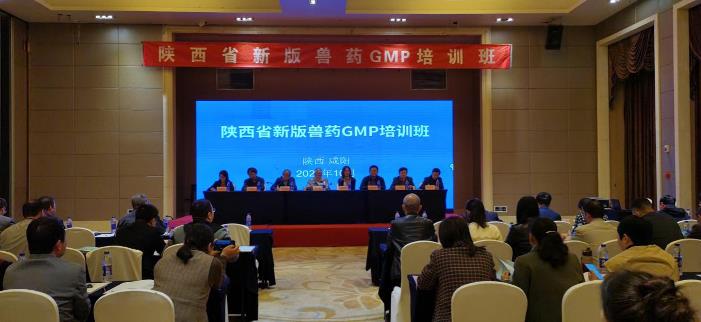 1604624184459094579.jpg 1123.jpg